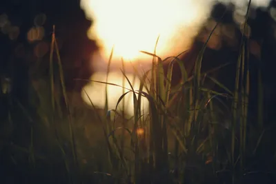 朝のルーティンと集中力の話