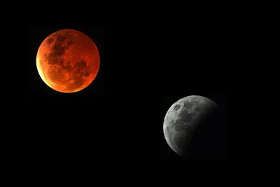 リモートワークでの気分転換方法