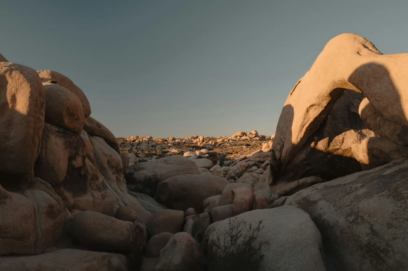 週末の小さな贅沢と充実感